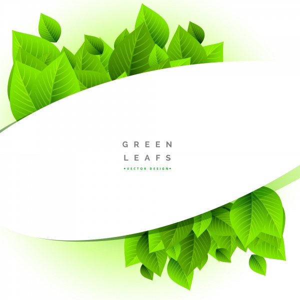 Eco green leaves floating on white vector background ((eps (14 files)