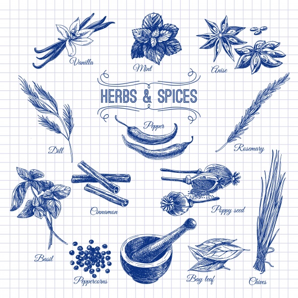 Hand drawn herbs and spices ((eps (26 files)