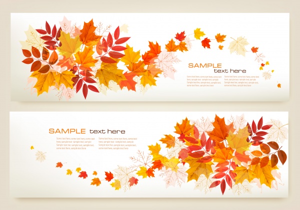 Autumn vector background with fruit and leaves, autumn sale banners ((eps - 2 (18 files)