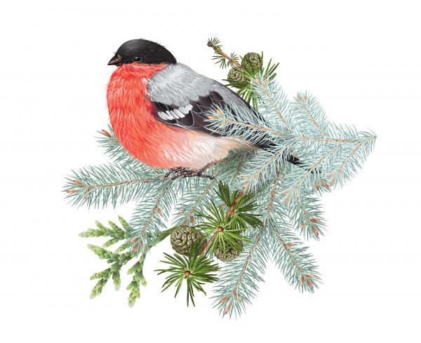 Winter vector frame design for greeting card with forest branches and bullfinch, Christmas party invitation ((eps (16 files)