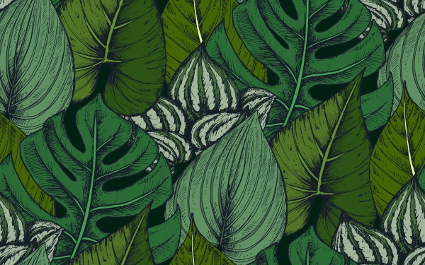 Tropical seamless patterns ((eps - 4 (16 files)