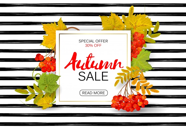 Autumn vector sale background with colorful autumn leaves and a rowan on marble backdrop ((eps (24 files)