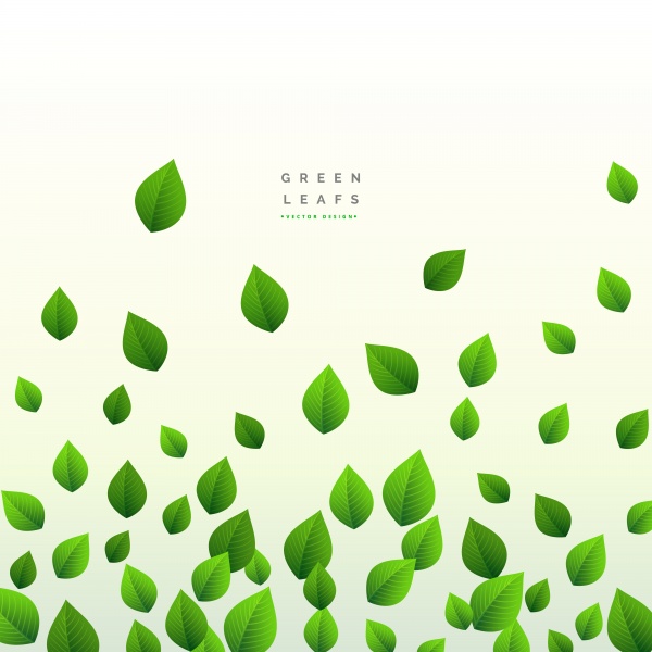 Eco green leaves floating on white vector background ((eps (14 files)