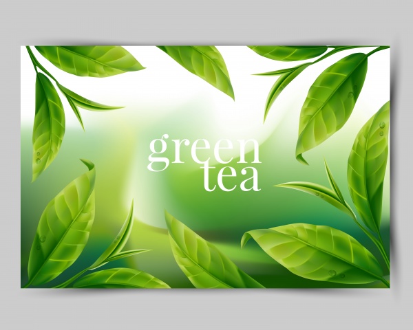 Green tea leaf ((eps (24 files)