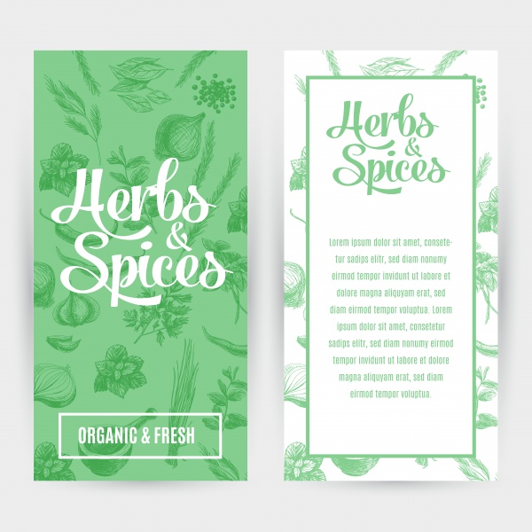 Hand drawn herbs and spices ((eps (26 files)