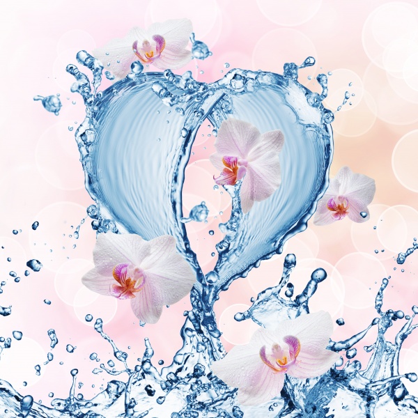 Heart from water splash with bubbles ((jpg (20 files)