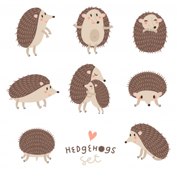 HEDGEHOGS. Cute vector set ((eps (16 files)