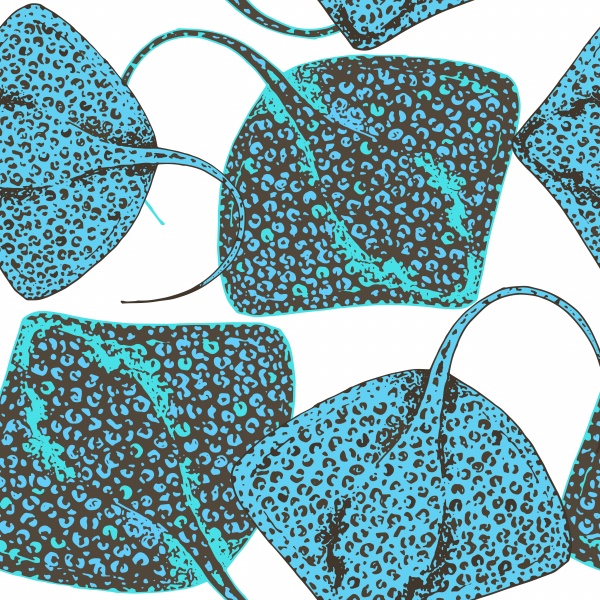 Stingray fish illustrations pattern ((eps (14 files)