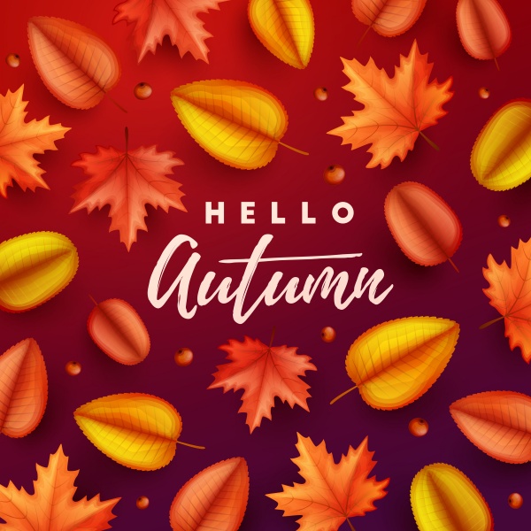 Autumn vector backgrounds with leaves and balloons ((eps (18 files)