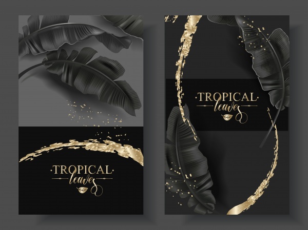 Vector banners with black gold tropical leaves and splashes, luxury exotic botanical design for cosmetics ((eps (12 files)