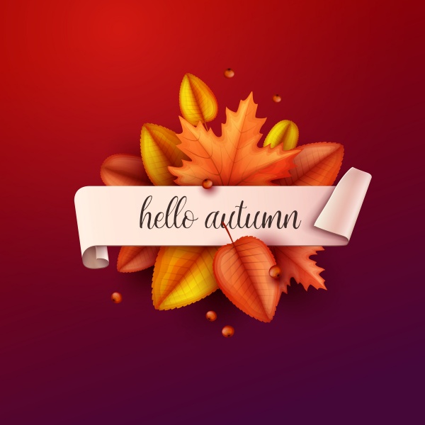Autumn art frame vector design illustration ((eps (24 files)