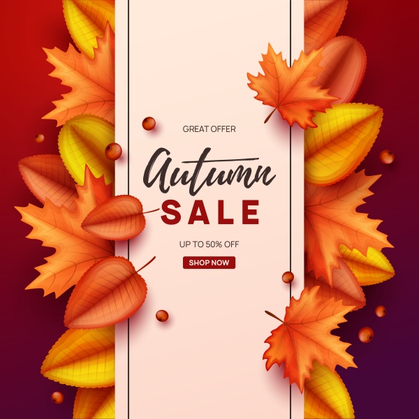 Autumn vector sale in frame from leaves ((eps (18 files)