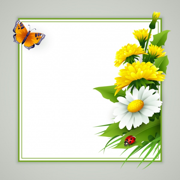 Daisy dandelion tulip flower petal spring flyer banner frame bekraund ((eps (50 files)