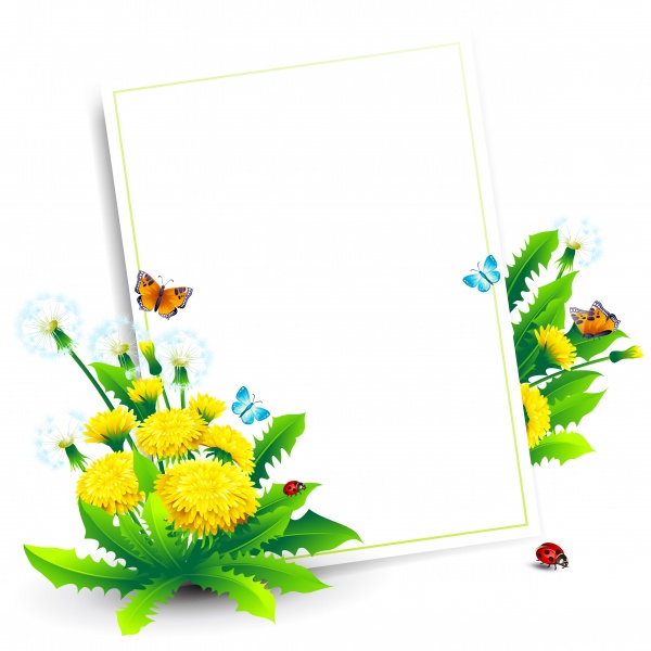 Daisy dandelion tulip flower petal spring flyer banner frame bekraund ((eps (50 files)