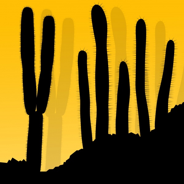 Cactus plant flower icon logo thorn vector image ((eps