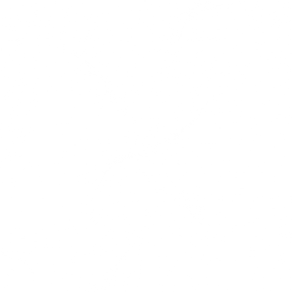 20 Wave Textures ((eps ((ai (51 files)