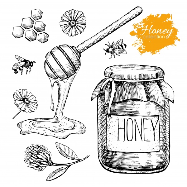 Honey vintage illustration ((eps (16 files)