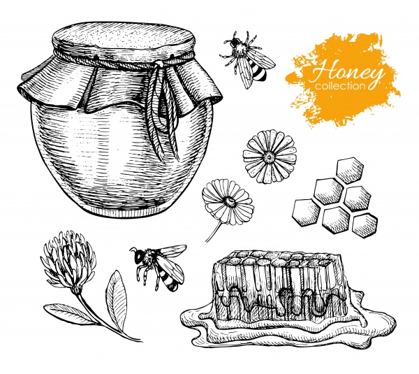 Honey vintage illustration ((eps (16 files)