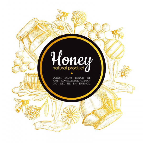 Honey vintage illustration ((eps - 2 (20 files)