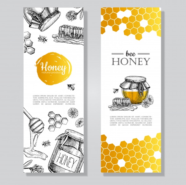 Honey vintage illustration ((eps - 2 (20 files)