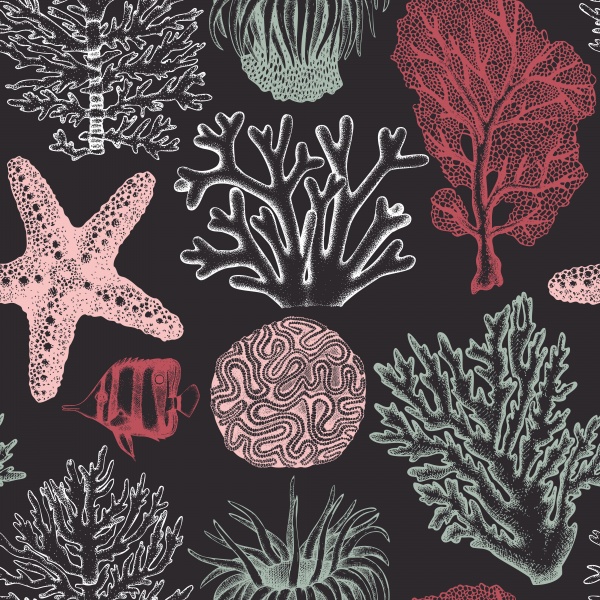 Vintage Seaweeds Illustrations ((eps (30 files)