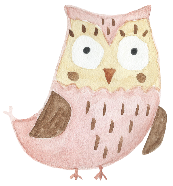 Watercolor Owls patterns and cards ((eps ((png (24 files)