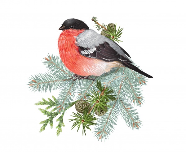 Winter vector frame design for greeting card with forest branches and bullfinch, Christmas party invitation ((eps (16 files)