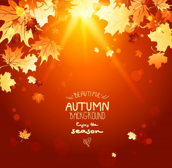 Autumn background is a picture poster flyer banner leaf tree 2 ((eps - 2 (28 files)