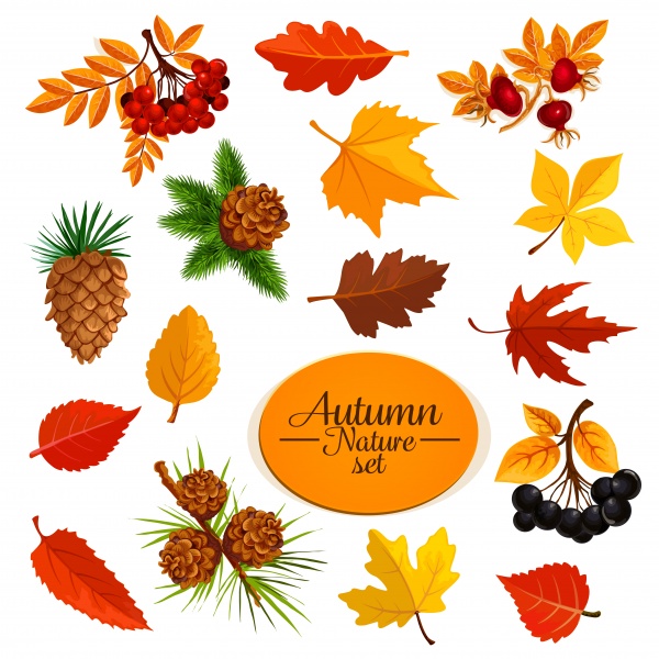 Autumn sale vector background, banner template for discount promotion design ((eps (20 files)