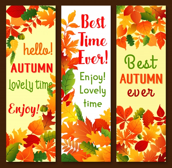 Autumn sale vector banner set of fall season discount price offer ((eps - 2 (28 files)