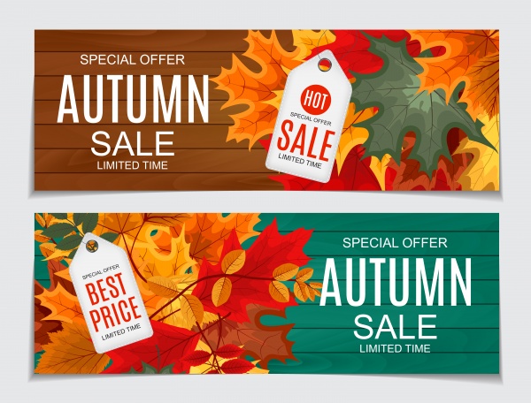 Vector illustration autumn sale background with falling autumn leaves ((eps - 2 (18 files)