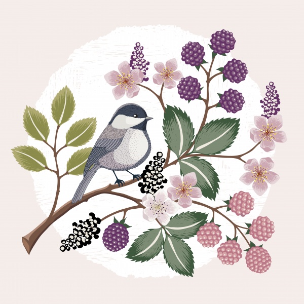 Vector illustration with flowers and birds ((eps (20 files)