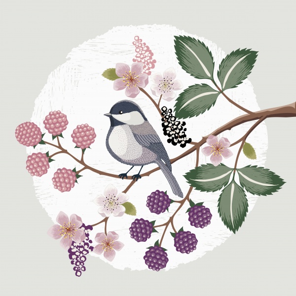 Vector illustration with flowers and birds ((eps (20 files)
