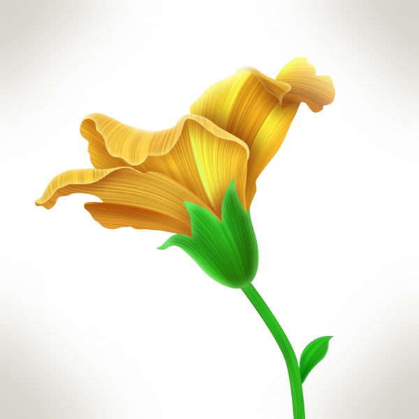Seamless Flower Print ((jpg - 2 (10 files)