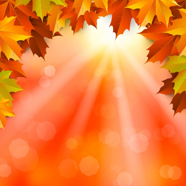 Autumn backgrounds in vector - 6 ((eps (30 files)