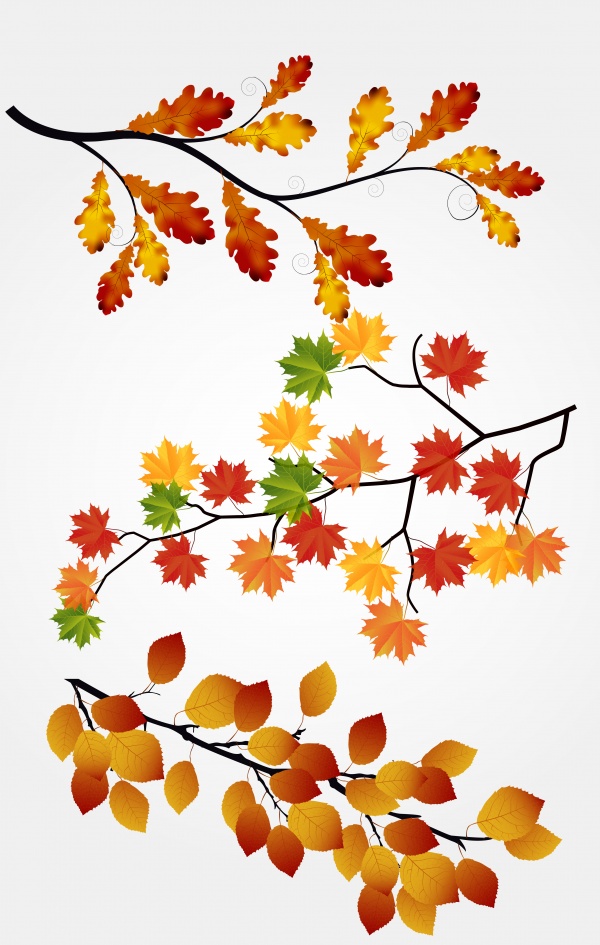 Осенние фоны в векторе. Autumn backgrounds in vector ((eps - 2 (21 files)