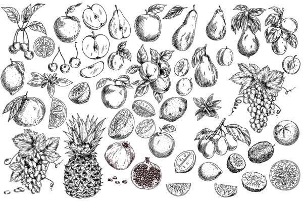 Garden Fruits, vector collection ((eps - 3 (10 files)