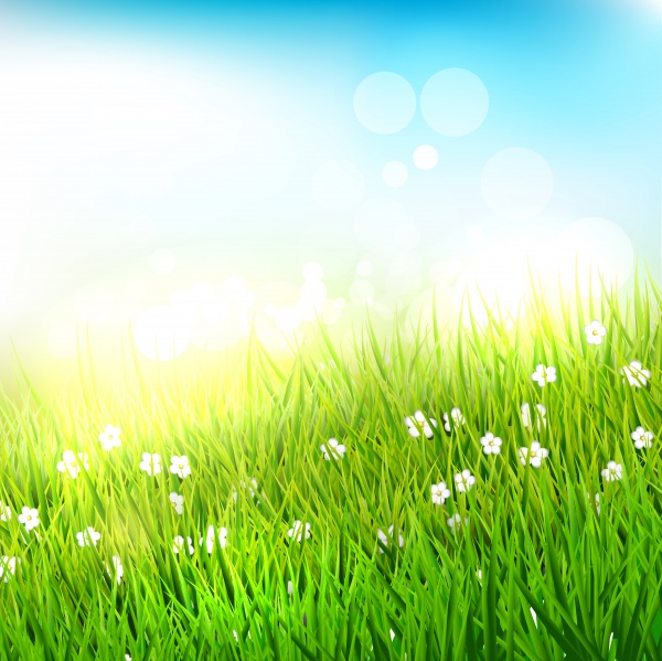Spring Flowers Background (31 files)
