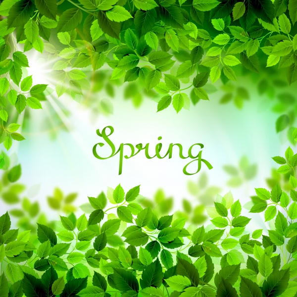 Spring Flowers Background - 2 (25 files)