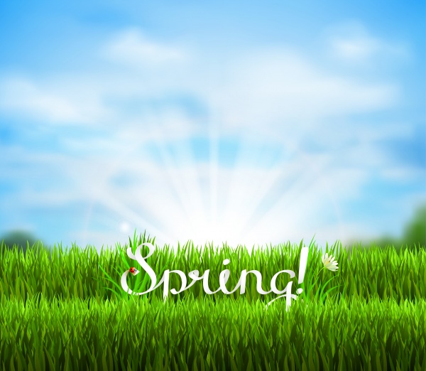 Spring Flowers Background - 2 (25 files)