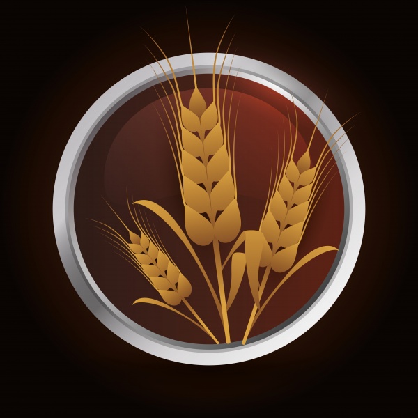 Wheat heads of grain rye grain seed ((eps (26 files)